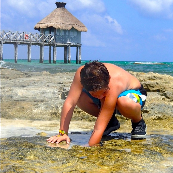 POSH AMBASSADOR⭐️@venturasunshine - Picture 5 of 8